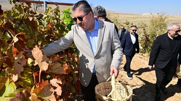Eskişehir'de Vali Yılmaz ve Destici, 820 yıllık Selçuklu köyünde bağ bozumu yaptı