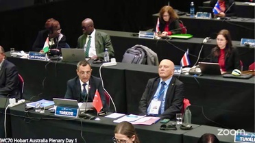 Türkiye ilk kez taraf olduğu IWC Hobart toplantısında balina kararına olumlu oy verdi