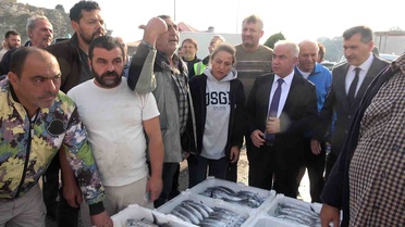 Şile Limanı'nda palamut bolluğu mezadı hareketlendirdi, kasası 600 liradan satıldı