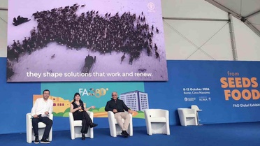 Roma'daki FAO Tohumdan Gıdaya sergisinde Çanakkale'in organik ürünleri yer aldı