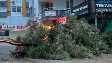 Adana'da sağanak ve fırtına hasara yol açtı