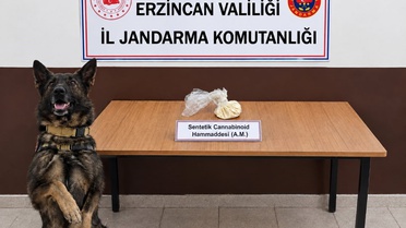 Erzincan'da jandarma 2 operasyonda 13 gram skunk ile 35 gram hammadde ele geçirdi