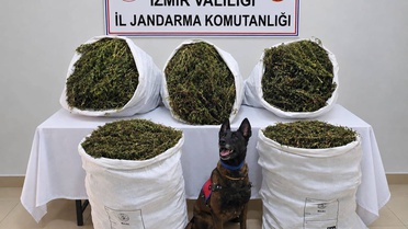 İzmir Tire'de jandarma aramasında 54 kilo 800 gram kubar esrar ele geçirildi