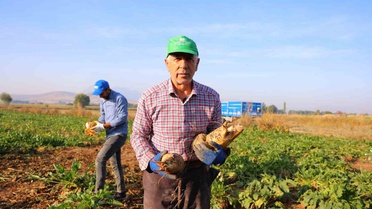 K.Maraş Elbistan'da pancar hasadı başladı, 500 bin tona yakın rekolte bekleniyor