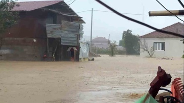 Sakarya Kocaali'de sel suları iki tavuk kümesini bastı, 60 bin kanatlı telef oldu