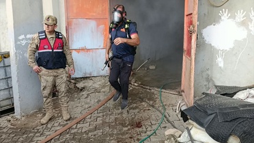 Siirt Kurtalan'daki Teylan köyünde odunluk yangını itfaiye ekiplerince söndürüldü