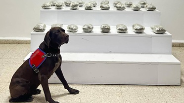 Van Başkale'de araçta 10 kilo 111 gram esrar bulundu, 3 şüpheli gözaltına alındı