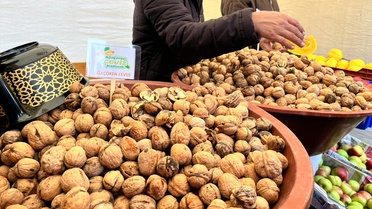 Aksaray Ağaçören'de 5. Ceviz Festivali 700 ağacın hasadıyla başladı