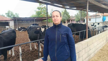 Edirne Havsa'da kadın çiftçi, Genç Çiftçi Projesi'yle sürüsünü 30 başa çıkardı