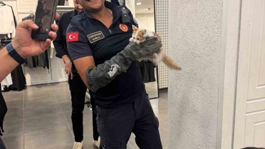 Eskişehir İtfaiyesi, dar alana sıkışan kedi ve köpeği zarar vermeden kurtardı