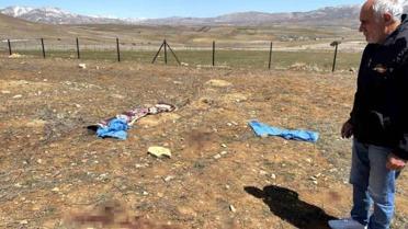 Başıboş Köpekler 72 Yaşındaki Adamı Öldürdü