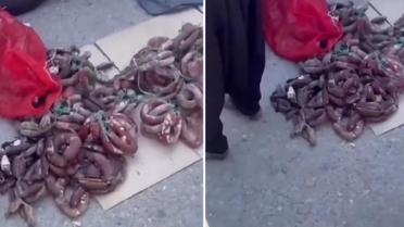 Burası Hindistan değil Türkiye! Videoyu izleyenler şaşkınlığını gizleyemiyor