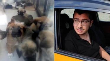 Parçalayıp öldürdüğü köpek sayısı 26'ya ulaştı! Doktordan akılalmaz savunma