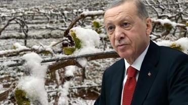 ''Bu yıl sıkıntı yaşayacağız'' diyen Cumhurbaşkanı Erdoğan, o ürünleri tek tek saydı