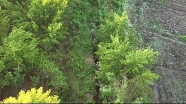 Dünya Miras Listesi'nde yer alan Hevsel Bahçeleri'nde 2 milyar liralık kenevir imha edildi