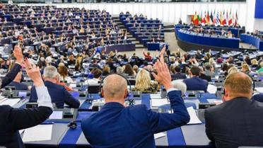 Avrupa Parlamentosu'nda yolsuzluk soruşturması! 5 milletvekilinin dokunulmazlığı tehlikede