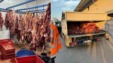 Hepsini vatandaşa yedireceklerdi! Tam 3 ton bozulmuş tek tırnaklı eti ele geçirildi
