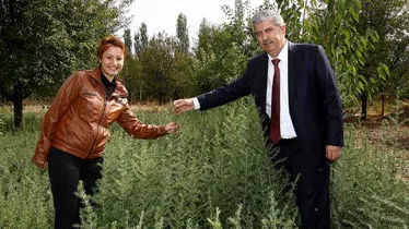 Antalya Bürosu'nun Bölge Haberleri (2)