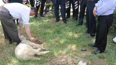 Polis, Hibe Motosikletler İçin Kurban Kesti