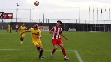 3. Lig