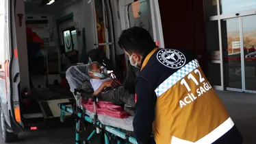 Samsun'da aynı aileden 3 kişi yedikleri mantardan zehirlendi