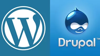 Wordpress ve Drupal Siteleri Tehlike Altında!