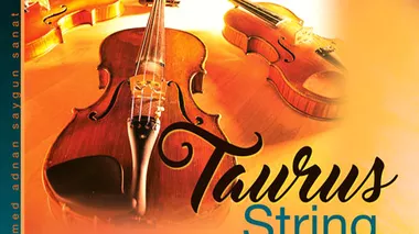 Taurus String Quartet