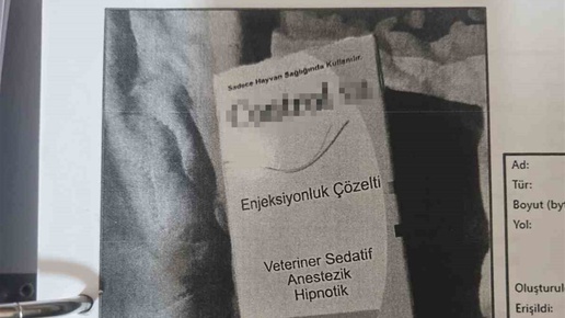 Ankaralı müteahhidin ölümünde veteriner ilacı izi! 400 milyonluk servet için plan kurulduğu öne sürüldü