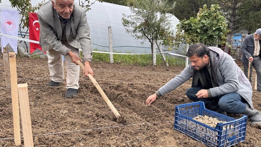 Türkiyede bir ilk! Kilosu altın değerinde, yeni gelir kapısı oldu