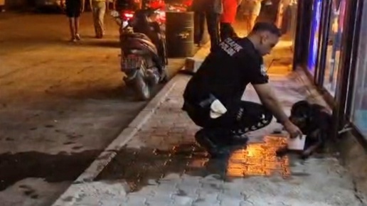Samandağda yaralı bulunan sokak köpeğine ateş eden kişi belirlendi! Evinde arama yapıldı