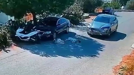 Güvenlik kamerası kaydetti! Bodrumda 2 köpeği ezip giden sürücünün kimliği belirlendi