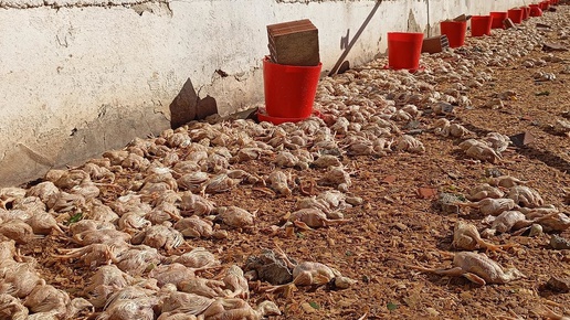 Dakikalar içinde büyük yıkım! Gördükleri manzara kahretti