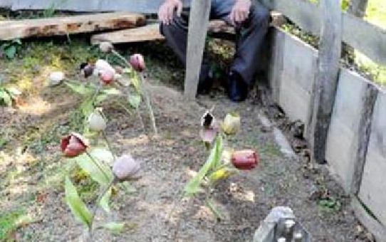 Küçük Güreşçinin Ölümü Yeniden Soruşturulacak