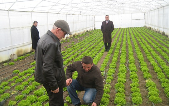Düzce Çiftçisinin Geliri Artıyor