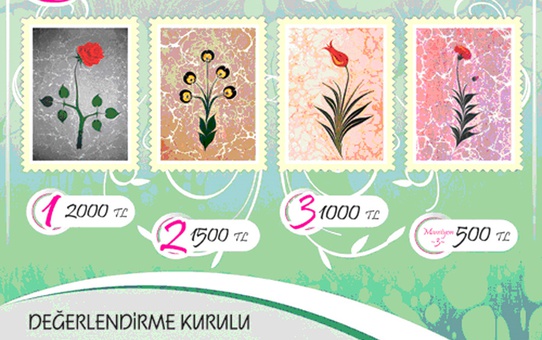 Ebru Yarışmasına Başvurusu Süresi 18 Mayıs Cuma Günü Sona Eriyor
