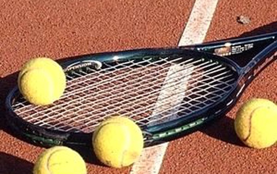 Wimbledon Tenis Turnuvası