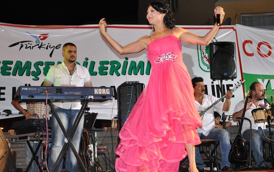 19.zümrüt Yenice Kültür ve Sanat Festivali Yapıldı