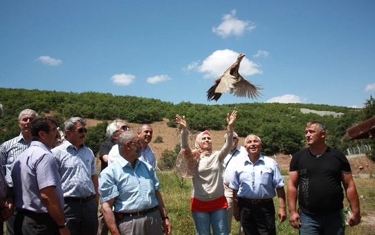 Hattuşa'nın Yeni Süsleri Sülün Kuşları