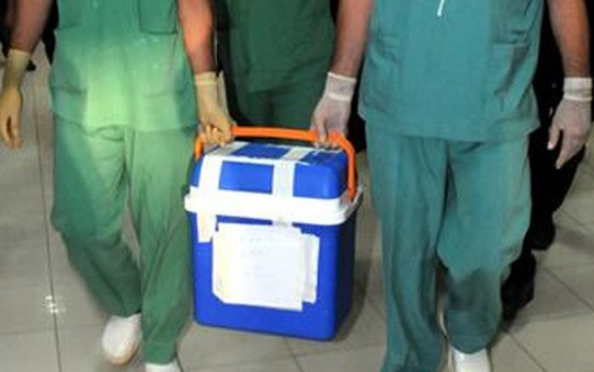 Gaziantep'te Organ Nakli