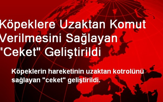 Köpeklere Uzaktan Komut Verilmesini Sağlayan 'Ceket' Geliştirildi