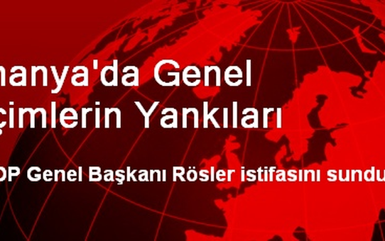 Almanya'da Genel Seçimlerin Yankıları