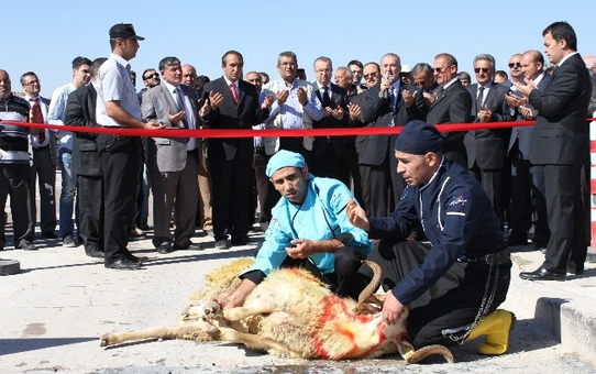 Konya ve Çumra Şeker'de Pancar Alımı Başladı
