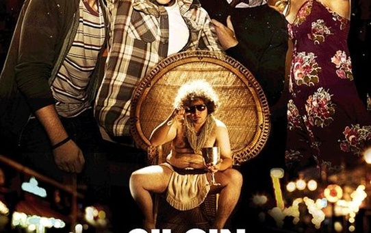 Çılgın Doğumgünü Filmi
