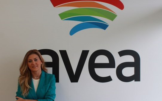 Avea Pazarlama İletişim Direktörlüğü Görevine 'Gelincik Onan' Getirildi