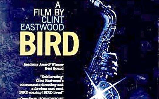 Bird Filmi