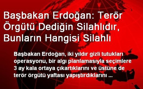 Başbakan Erdoğan: Terör Örgütü Dediğin Silahlıdır, Bunların Hangisi Silahlı