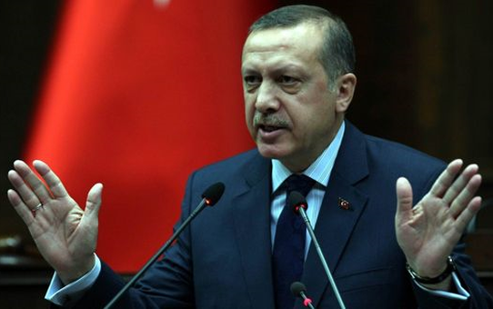 Başbakan Erdoğan'ın Açıklamaları