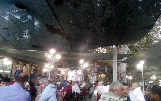 Serçelere Şemsiyeli Önlem