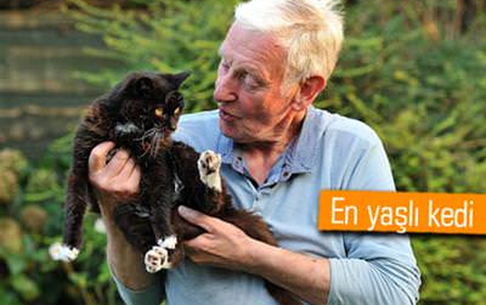 115 Yaşındaki Kedi Guinness'e Girmeye Hazırlanıyor