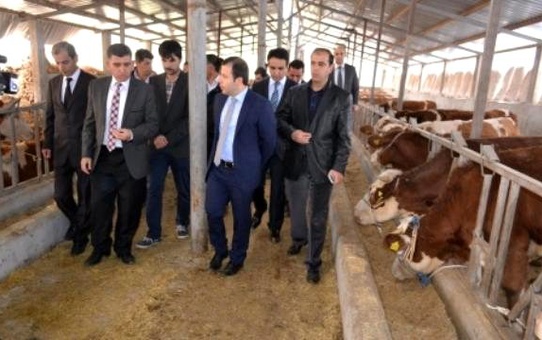 Sasonda Hayvancılık Desteği